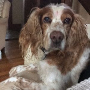 Meet your Posher, Patricia